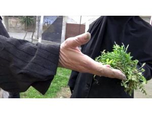 Suriye’deki Mülteciler Ot Yemeye Başladı