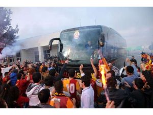 Aslan Şampiyon Gibi Karşılandı