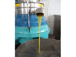 (Özel Haber) Zeytinyağında Şaşırtan Fiyat Artışı