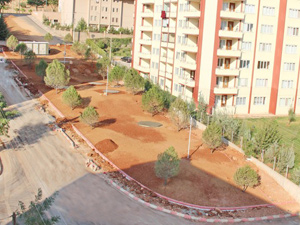 Yeşil Alan Çalışmaları