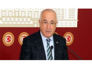 Kamu Başdenetçisi Hakkında İnceleme