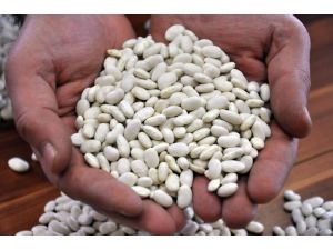 Bakliyat Toptancıları İsyanda