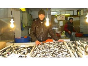 3 Kilo Hamsi 5 Lira Ama...