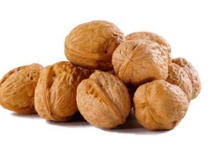 Orman Köylüleri Ürünlerini Aracısız Pazarlayacak