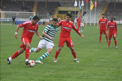 Timsah yürüyüşü sürüyor 