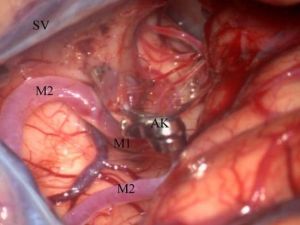 Bu Haber Sigara Tiryakileri İçin...