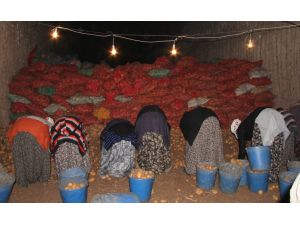 Bakanlık Patateste Yaşanan Fiyat Artışına El Koydu