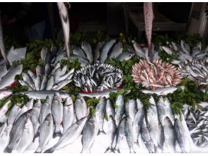 Balık Fiyatları Tavan Yaptı