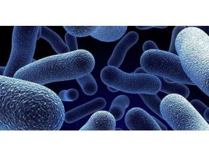 Enfeksiyondan Korunmanın Yolu