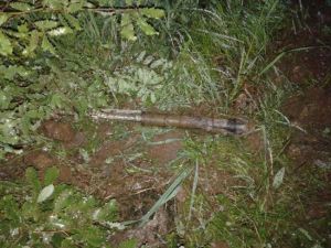 Çocukların Arasına Roket Düştü: 6 Ölü