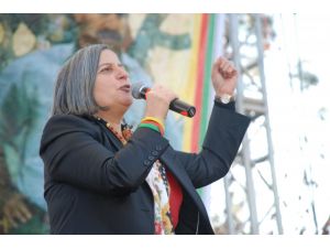 Diyarbakırda Rojavaya Destek Mitingi Düzenlendi