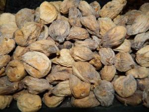 Faydaları Saymakla Bitmiyor