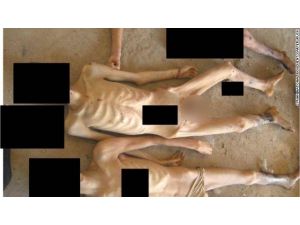 İşte İşkencenin Belgeleri