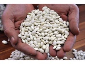 Vatandaşa “Kuru Fasulye” Müjdesi