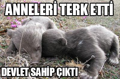 Anneleri terk etmiş 