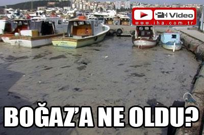 Boğazda ilginç görüntü! 