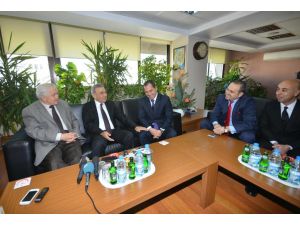 Kocaoğlu: Matematiği Bilen Herkes Yüzde 51 Aldığı Zaman Kazanacağını Biliyor