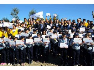 Expo 2016 İçin İlk Ağacı Bakan Dikti