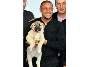 Carlos’a Canlı Yayında Hediye Edildi