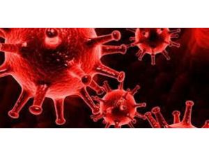 Türkiye’de Kayıtlı Cüzzamlı Hasta Sayısı