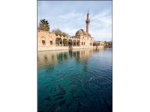 Turizmdeki Yükseliş Sürüyor