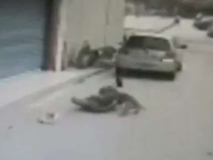 Köpek Sahibini Parçaladı