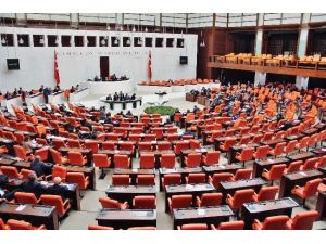 29 Madde Daha Kabul Edildi