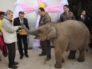 Doğum Gününü Çocuklarla Kutlayacak