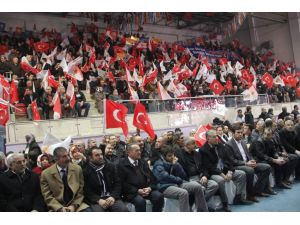 Ak Parti Genel Başkan Yardımcısı Mehmet Ali Şahin: