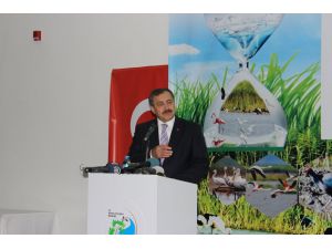 Dünya Sulak Alanlar Günü