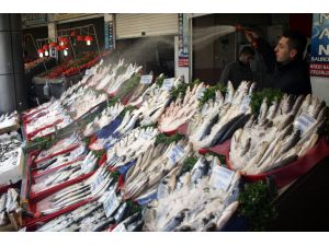 Denizi Olmayan Gaziantep’te Her Gün 65 Çeşit Balık Sergileniyor