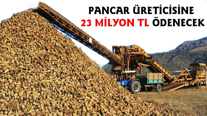 Pancar Üreticisine 23 Milyon Tl Ödenecek