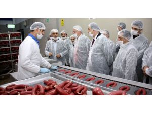 Aytaç Çankırıda Yeniden Üretime Başladı