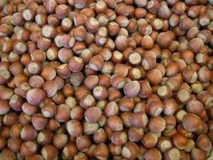 İşte Türk Fındığının 2023 Hedefi