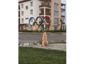 Olimpiyat Skandalları Bitmiyor