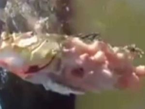 Saniyeler İçerisinde Yok Ettiler