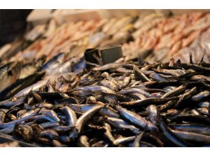 Balık Fiyatları Normale Döndü