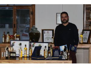 Türk Zeytinyağında Soğuk Sıkım Devri