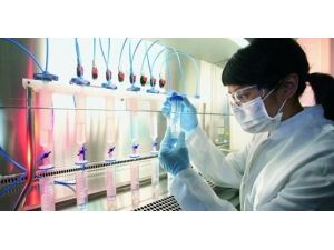 Kemik İliği Bankası Ne Zaman Hayata Geçecek ?