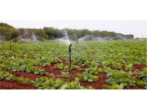 Çiftçilerden Eskiye Dönüş