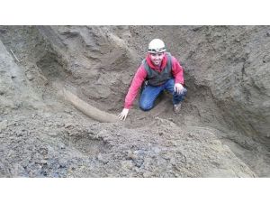 Buzul Çağı’nda Yaşamış Mamutlara Ait Fildişi Bulundu