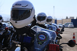 Yunuslar Göreve Hazır