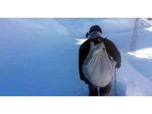 O Çocuğun Ölümünün Ardından