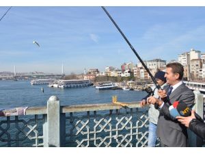 Sarıgül: Süleymaniyenin Silueti Bozuldu