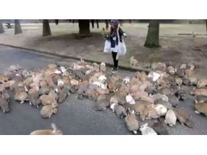 Atıştırmalığa Hücuuum !