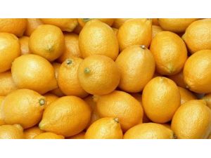 Türk Limonuna Japonya’dan İzin Çıktı