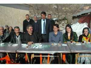 Van Bağımsız Milletvekili Aysel Tuğluk: