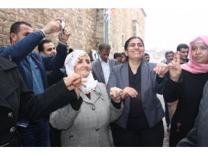 Sebahat Tuncel Ritme Ayak Uyduramayınca Halay Çekti