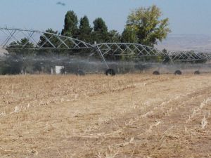 Tüm İhtiyacını Kendi İçinde Karşılayan İşletme