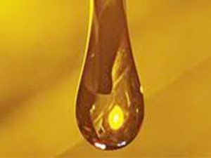 Elbistanda 10 Numara Madeni Yağ Ele Geçirildi